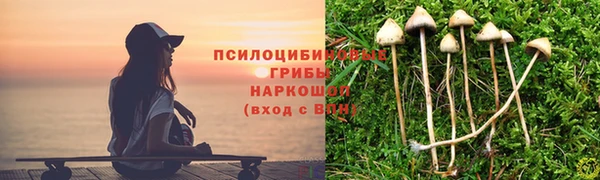 дмт Баксан